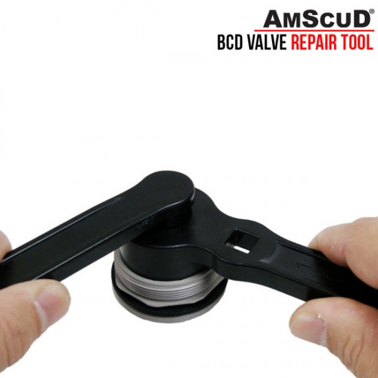 BCD VALVE REPAIR TOOL 
