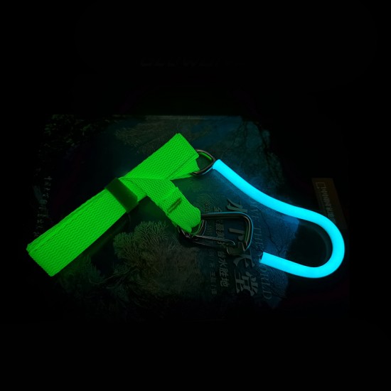 AMSCUD GLOW DIVE SINGLE-END HOOK DGSH-01