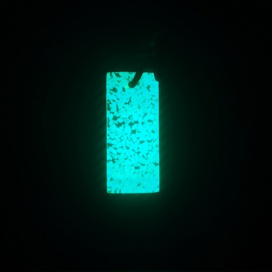 AMSCUD GLOW DIVE TAG DGT-01