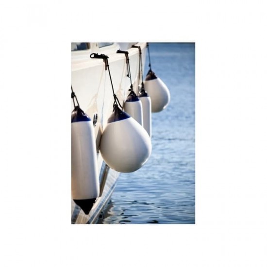 FENDER F3 - DAN FENDER 827 WHITE (OVAL)