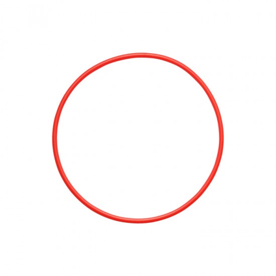 ORIGINAL OLYMPUS ORING POL-058 FOR HOUSING OLYMPUS