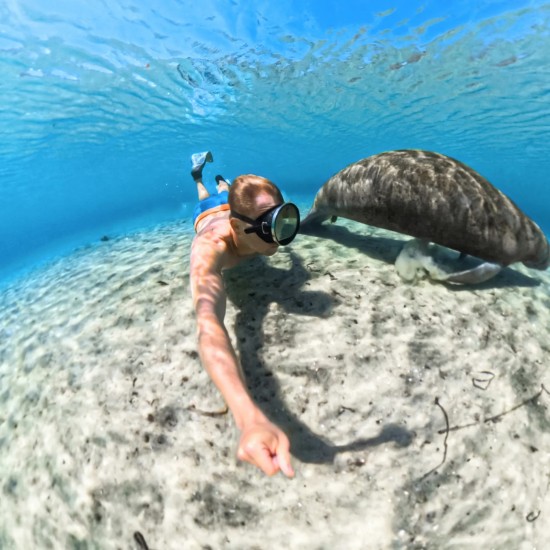 INVISIBLE DIVE CASE INSTA360 X5