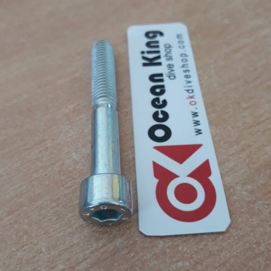 SPAREPART COMPRESSOR COLTRI SCREW 13-00-0031