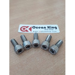 SPAREPART COMPRESSOR COLTRI SCREW 8X20 TCE