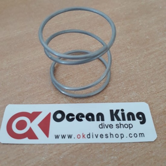 SPAREPART COMPRESSOR COLTRI SPRING INT CARTRIDGE